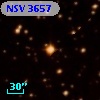 NSV  3657