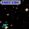 FAUST 1204