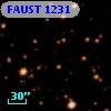 FAUST 1231