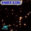 FAUST 1239