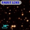 FAUST 1293
