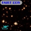 FAUST 1339
