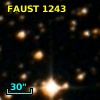 FAUST 1243