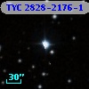 TYC 2828-2176-1