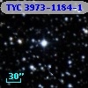 TYC 3973-1184-1