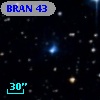 BRAN  43