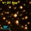 V* DT Pup