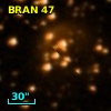 BRAN  47