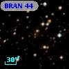 BRAN  44