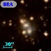 BRAN  49