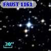 FAUST 1161