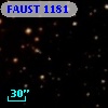 FAUST 1181