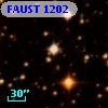 FAUST 1202