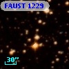 FAUST 1229