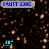 FAUST 1305