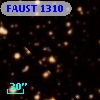 FAUST 1310