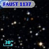 FAUST 1137