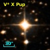 V* X Pup