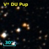 V* DU Pup