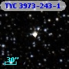 TYC 3973-243-1