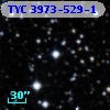 TYC 3973-529-1