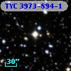 TYC 3973-894-1