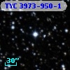 TYC 3973-950-1