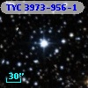TYC 3973-956-1