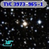 TYC 3973-965-1