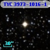 TYC 3973-1016-1