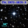 TYC 3973-1028-1