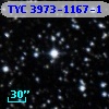 TYC 3973-1167-1
