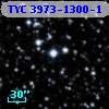 TYC 3973-1300-1