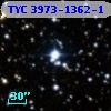 TYC 3973-1362-1