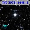 TYC 3973-1446-1