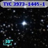 TYC 3973-1448-1