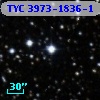 TYC 3973-1836-1