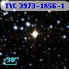 TYC 3973-1856-1