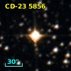 CD-23  5856