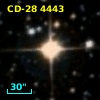CD-28  4443