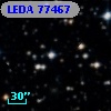 LEDA   77467