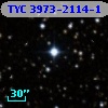 TYC 3973-2114-1