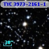 TYC 3973-2161-1