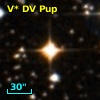 V* DV Pup
