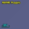 NAME PUPPIS