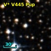 V* V445 Pup