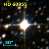 HD  60955