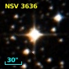 NSV  3636