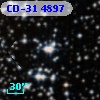 CD-31  4897