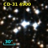 CD-31  4900